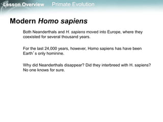 Lesson Overview Primate Evolution
Modern Homo sapiens
Both Neanderthals and H. sapiens moved into Europe, where they
coexisted for several thousand years.
For the last 24,000 years, however, Homo sapiens has have been
Earth’s only hominine.
Why did Neanderthals disappear? Did they interbreed with H. sapiens?
No one knows for sure.
 