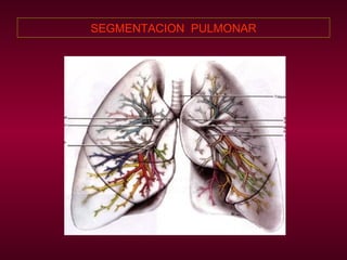 SEGMENTACION  PULMONAR 