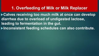 Undigested Milk Image 26-Camel Calf Diarrhea( causes - symtoms & treament ).Prof Dr Hamed ...