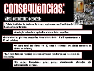 O custo total dos danos em 30 anos é estimado em várias centenas de biliões de dólares; Consequências: Nível económico e social : Poluiu 5 milhões de hectares de terras, onde moravam 3 milhões de habitantes da Ucrânia; A criação animal e a agricultura foram interrompidos; Para alojar as pessoas evacuadas foram necessários 15 mil apartamentos e 23 mil prédios; 17,44 mil famílias recebem isenções por terem familiares que faleceram na catástrofe; Os custos financiados pelos países directamente afectados são extremamente elevados. 