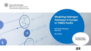 IER
Modeling Hydrogen
Pathways in Europe
in TIMES PanEU
IEA-ETSAP Workshop
New York
02.12.2022
Drin Marmullaku
Prof. Markus Blesl
 