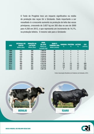 O Teste de Progênie teve um impacto significativo na média
de produção das raças Gir e Girolando. Dado importante a ser
ressaltado é o crescente aumento na produção de leite das vacas
primíparas, crescendo de 3.657 kg em 305 dias no ano de 2000
para 4.258 em 2012, o que representa um incremento de 14,1%,
na produção leiteira. O mesmo vale para o Girolando:
ANO
INTERVALO DE
PARTOS
Média (dias)
DURAÇÃO DA
LACTAÇÃO
Média (dias)
PROD
DE LEITE
Média por
Lactação (kg)
IDADE À
PRIMEIRA CRIA
Média (meses)
GORDURA
%
PROTEÍNA
%
LACTOSE
%
CCS
(mil/mL)
1989 473 240 1.990,00 38 x x x x
1992 423 278 3.323,00 33 x x x x
1998 419 280 3.335,00 32 x x x x
2000 418 287 3.558,00 32 x x x x
2003 457 289 4.403,00 35 x x x x
2006 457 286 4.407,00 33 x x x x
2008 450 283 4.700,00 34 x x x x
2010 469 280 4.761,00 35 3,9 3,3 4,2 628
2011 463 281 4.776,00 36 3,8 3,3 4,3 743
2012 458 284 4.819,00 36 3,9 3,2 4,2 645
2013 434 283 5.061,00 35 4 3,3 4,1 589
BERILIO ÍCARO
Fonte: Associação Brasileira de Criadores de Girolando, 2014.
NOSSA ORIGEM, SEU MELHOR RESULTADO
 