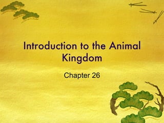 Introduction to the Animal Kingdom Chapter 26 