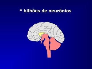 * bilhões de neurônios
 