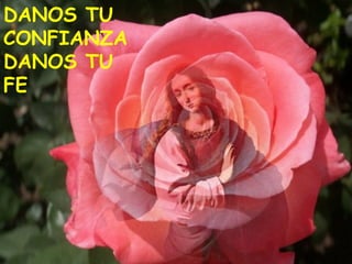 DANOS TU
CONFIANZA
DANOS TU
FE
 