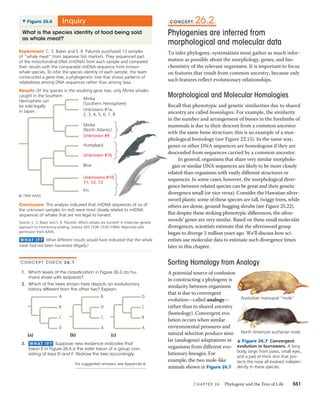 26 phylogeny and the tree of life | PDF