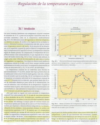 26   regulación de la temperatura corporal