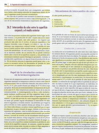 26   regulación de la temperatura corporal