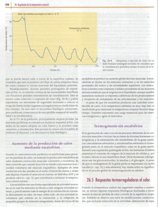 26   regulación de la temperatura corporal