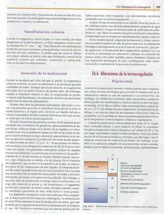 26   regulación de la temperatura corporal