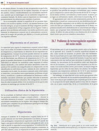 26   regulación de la temperatura corporal