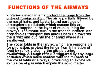 FUNCTIONS OF THE AIRWAYS 2 .  Various mechanisms  protect the lungs from the entry of foreign matter . The air is partially filtered by the nasal hairs, and bacteria and particles of atmospheric pollutants which escape this are usually trapped in the layer of mucus lining the airways. The motile cilia in the trachea, bronchi and bronchioles transport this mucus back up towards the larynx and out into the pharynx where it is swallowed. The  vocal folds  in the larynx, which are responsible for phonation,  protect the lungs from inhalation of food  by reflexly closing the glottis during swallowing. A cough reflex is triggered by any large particles which make contact with the mucosa of the vocal folds or airways, producing an explosive expulsion of gas which expels the solid matter.   