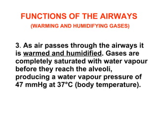 FUNCTIONS OF THE AIRWAYS   ( WARMING AND HUMIDIFYING GASES ) 3 .  As air passes through the airways it is  warmed and humidified . Gases are completely saturated with water vapour before they reach the alveoli, producing a water vapour pressure of 47 mmHg at 37°C (body temperature). 