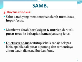 SAMB.
3. Ductus venosus:
 Salur darah yang membenarkan darah memintas
hepar fetus.
 Membawa darah beroksigen & nutrien dari tali
pusat terus ke bahagian kanan jantung fetus.
 Ductus venosus tertutup sebaik sahaja selepas
lahir, apabila tali pusat dipotong dan terhentinya
aliran darah diantara ibu dan fetus.
17
 