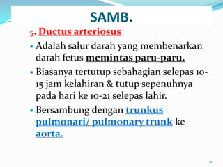 SAMB.
5. Ductus arteriosus
 Adalah salur darah yang membenarkan
darah fetus memintas paru-paru.
 Biasanya tertutup sebahagian selepas 10-
15 jam kelahiran & tutup sepenuhnya
pada hari ke 10-21 selepas lahir.
 Bersambung dengan trunkus
pulmonari/ pulmonary trunk ke
aorta.
21
 