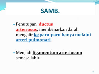 SAMB.
 Penutupan ductus
arteriosus, membenarkan darah
mengalir ke paru-paru hanya melalui
arteri pulmonari.
 Menjadi ligamentum arteriosum
semasa lahir.
22
 