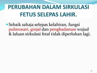 PERUBAHAN DALAM SIRKULASI
FETUS SELEPAS LAHIR.
 Sebaik sahaja selepas kelahiran, fungsi
pulmonari, ginjal dan penghadaman wujud
& laluan sirkulasi fetal tidak diperlukan lagi.
25
 