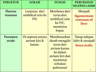STRUKTUR LOKASI FUNGSI PERUBAHAN
SELEPAS LAHIR
Ductus
venosus
Lanjutan dari
umbilical vein ke
IVC
Membawa dari
terus dari
umbilical vein
ke IVC,
memintas
hepar.
Menjadi
ligamentum
venosum of
liver
Foramen
ovale
Di septum antara
atrium kiri &
kanan.
Membenarkan
darah mengalir
terus dari
atrium kanan
ke dalam
atrium kiri dan
memintas
sirkulasi
pulmonari
Tutup selepas
lahir & menjadi
fossa ovalis
27
 
