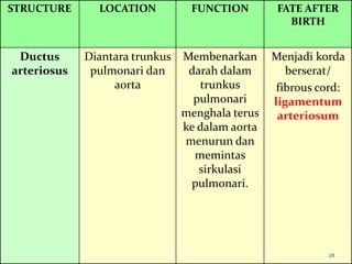 STRUCTURE LOCATION FUNCTION FATE AFTER
BIRTH
Ductus
arteriosus
Diantara trunkus
pulmonari dan
aorta
Membenarkan
darah dalam
trunkus
pulmonari
menghala terus
ke dalam aorta
menurun dan
memintas
sirkulasi
pulmonari.
Menjadi korda
berserat/
fibrous cord:
ligamentum
arteriosum
28
 