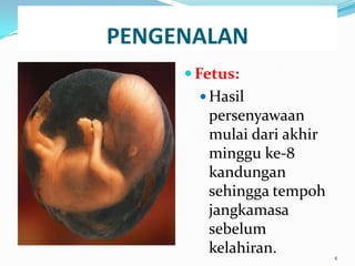 PENGENALAN
 Fetus:
 Hasil
persenyawaan
mulai dari akhir
minggu ke-8
kandungan
sehingga tempoh
jangkamasa
sebelum
kelahiran. 4
 