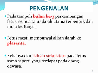 PENGENALAN
 Pada tempoh bulan ke-3 perkembangan
fetus, semua salur darah utama terbentuk dan
mula berfungsi.
 Fetus mesti mempunyai aliran darah ke
plasenta.
 Kebanyakkan laluan sirkulatori pada fetus
sama seperti yang terdapat pada orang
dewasa.
5
 