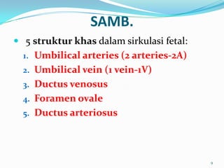 SAMB.
 5 struktur khas dalam sirkulasi fetal:
1. Umbilical arteries (2 arteries-2A)
2. Umbilical vein (1 vein-1V)
3. Ductus venosus
4. Foramen ovale
5. Ductus arteriosus
9
 