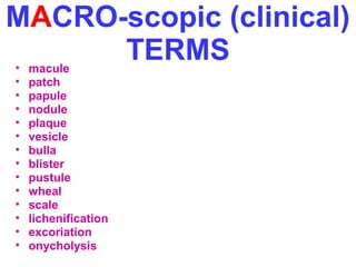 MACRO-scopic (clinical) 
TERMS • macule 
• patch 
• papule 
• nodule 
• plaque 
• vesicle 
• bulla 
• blister 
• pustule 
• wheal 
• scale 
• lichenification 
• excoriation 
• onycholysis 
 