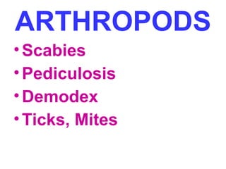 ARTHROPODS 
• Scabies 
• Pediculosis 
•Demodex 
•Ticks, Mites 
 