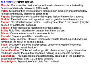 MACROSCOPIC TERMS 
Macule: Circumscribed lesion of up to 5 mm in diameter characterized by 
flatness and usually discolored (often red) 
Patch: Circumscribed lesion of more than 5 mm in diameter characterized by 
flatness and usually discolored (often red) 
Papule: Elevated dome-shaped or flat-topped lesion 5 mm or less across. 
Nodule: Elevated lesion with spherical contour greater than 5 mm across. 
Plaque: Elevated flat-topped lesion, usually greater than 5 mm across (may be 
caused by coalescent papules). 
Vesicle: Fluid-filled raised lesion 5 mm or less across. 
Bulla: Fluid-filled raised lesion greater than 5 mm across. 
Blister: Common term used for vesicle or bulla. 
Pustule: Discrete, pus-filled, raised lesion. 
Wheal: Itchy, transient, elevated lesion with variable blanching and erythema 
formed as the result of dermal edema. 
Scale: Dry, horny, platelike excrescence; usually the result of imperfect 
cornification (i.e., keratinization). 
Lichenification: Thickened and rough skin characterized by prominent skin 
markings; usually the result of repeated rubbing in susceptible persons. 
Excoriation: Traumatic lesion characterized by breakage of the epidermis, 
causing a raw linear area (i.e., a deep scratch) 
Onycholysis: Separation of nail plate from nail bed. 
 