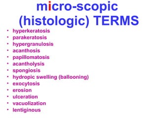 micro-scopic 
(histologic) TERMS 
• hyperkeratosis 
• parakeratosis 
• hypergranulosis 
• acanthosis 
• papillomatosis 
• acantholysis 
• spongiosis 
• hydropic swelling (ballooning) 
• exocytosis 
• erosion 
• ulceration 
• vacuolization 
• lentiginous 
 