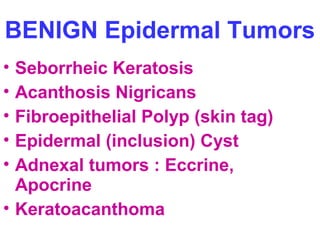 BENIGN Epidermal Tumors 
• Seborrheic Keratosis 
• Acanthosis Nigricans 
• Fibroepithelial Polyp (skin tag) 
• Epidermal (inclusion) Cyst 
• Adnexal tumors : Eccrine, 
Apocrine 
• Keratoacanthoma 
 