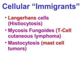 Cellular “Immigrants” 
• Langerhans cells 
(Histiocytosis) 
• Mycosis Fungoides (T-Cell 
cutaneous lymphoma) 
• Mastocytosis (mast cell 
tumors) 
 