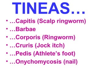 TINEAS… 
• …Capitis (Scalp ringworm) 
• …Barbae 
• …Corporis (Ringworm) 
• …Cruris (Jock itch) 
• …Pedis (Athlete’s foot) 
• …Onychomycosis (nail) 
 