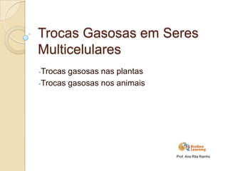 Trocas Gasosas em Seres
Multicelulares
-Trocas gasosas nas plantas
-Trocas gasosas nos animais
Prof. Ana Rita Rainho
 