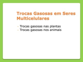 Trocas Gasosas em Seres
Multicelulares
- Trocas gasosas nas plantas
- Trocas gasosas nos animais
 
