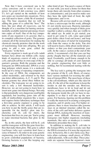 Now that I have convinced you to be
safety conscious and to strive to use this
power for good (I did convince yOll, didn't
I'!), let's get started on the methods of how
new genes arc inserted into organisms. First.
you will need to know a little bit of terminol­
ogy. The base organism that we will be
adding the genes to is called the "host." The
host, like just about all organisms, can be
thought of as a machine for turning environ­
mentally available material and energy (food)
i nto copies of itself. One of the key compo­
nents of any organism is its genome. that is,
its complete collection of genes. The genome
contains all of the instructions for making the
chemicals (mostly proteins) that do the work
of transforming food into offspring. We are
going to add a new gene, called the
"transgene," to the host.
Every organism is made up of cells (adult
humans have about one trillion cells; many
kinds of organisms consist of only a single
cell), and each cell has its own copy of the or­
ganism's genome. Both the genome and the
transgene are DNA molecules. DNA is a very
long polymer. which means it is a molecule
made up of a string of repeating components.
In the case of DNA, the components are
called nucleotides, and referred to by their
one-letter abbreviations. A, C, T, and G. The
human genome has about three billion nu­
cleotides. The transgene we are going to in­
sert is only a few thousand nucleotides.
However. we are not going to learn how to
insert new genes into human beings. Not only
is that potentially very dangerous (and highly
regulated). but inserting genes into all the
cells of multicellular organism like a mam­
mal requires better laboratory technique than
a first-time genetic engineer is going to be
able to achieve. In this article. I will teach
you how to put the firefly genes that are re­
sponsible for the firefly's glow into Es­
cherichia coli (E. coli for short), the
bacterium that lives in your gut. You're going
to make intestinal bacteria that glow in the
dark.
So. in this article. the host will be E. coli
and the transgenes will be the gene from fire­
fl ies that make them glow. This gene is called
Luciferase (who says scientists don't have a
sense of humor?). In order to do your genetic
engineering, you will first have to learn how
to grow controlled populations of bacteria.
Growing bacteria is a lot like keeping any
Winter 2003-2004
other kind of pet. You need a source of them
to start with. you need a home for them that
keeps them safe (mostly from other creatures
or contaminants). and you need to make sure
they have the right kind of food, the right
temperature, and so on.
Because cells are too small to see, it helps
to have a microscope for this work, although
it's not strictly necessary. Bacteria reproduce
very quickly and when enough of them grow
together (called a colony), they are visible to
the naked eye. In order to get started, you
need to get some E. coli, some agar-coated
petri dishes (their food and home), and loop
(a simple thin piece of metal for transporting
cells from the source to the dish). You also
will need to learn a little about sterile lab pro­
cedures so that you don't contaminate your
cells. In the sources section at the end of this
article. I recommend a kit that you can buy
pretty cheaply that has all the materials you
need. Eventually, you'll know enough to be
able to scrounge all kinds of cool materials
for genetic engineering that cost little or
nothing, but I'd recommend starting with the
kit.
The key task is getting the transgene into
the genome of the E. coli. Hosts, of course,
have various methods for resisting the addi­
tion of foreign DNA. The most basic of these
is the cell membrane, which acts like skin for
cells. It's the job of the membrane to keep the
insides in and the outsides out. However,
membranes have to let in food and let out
wastes, so they are permeable. In order to get
the transgene inside the cell, we have to ma­
nipulate it so that it will take up the new
genes. For bacteria, figuring out this problem
is really the main task in creating a transgenic
organism, and it's pretty easy. For higher or­
ganisms, there is more structure (the genome
stays in an internal structure called the nu­
cleus of the cell) and better defenses against
foreign DNA, making the insertion of trans­
genes more difficult. However, inserting
transgenes into higher organisms (including
mammals, l ike mice or monkeys) is routine
laboratory procedure these days.
In addition to making the E. coli take in
the foreign DNA, we have to make sure that
the DNA is treated as if it were the organism's
own. In bacteria, this is also fairly easy. Bac­
teria often exchange small pieces of DNA,
called plasmids, with each other. These plas­
mids are separate from the organism's main
Page 7
 