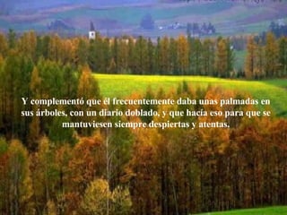 Y complementó que él frecuentemente daba unas palmadas en sus árboles, con un diario doblado, y que hacía eso para que se mantuviesen siempre despiertas y atentas. 