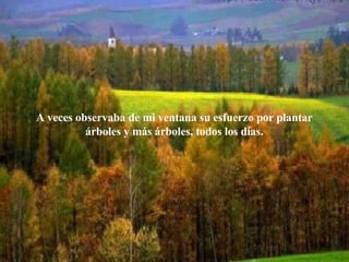 A veces observaba de mi ventana su esfuerzo por plantar árboles y más árboles, todos los días. 