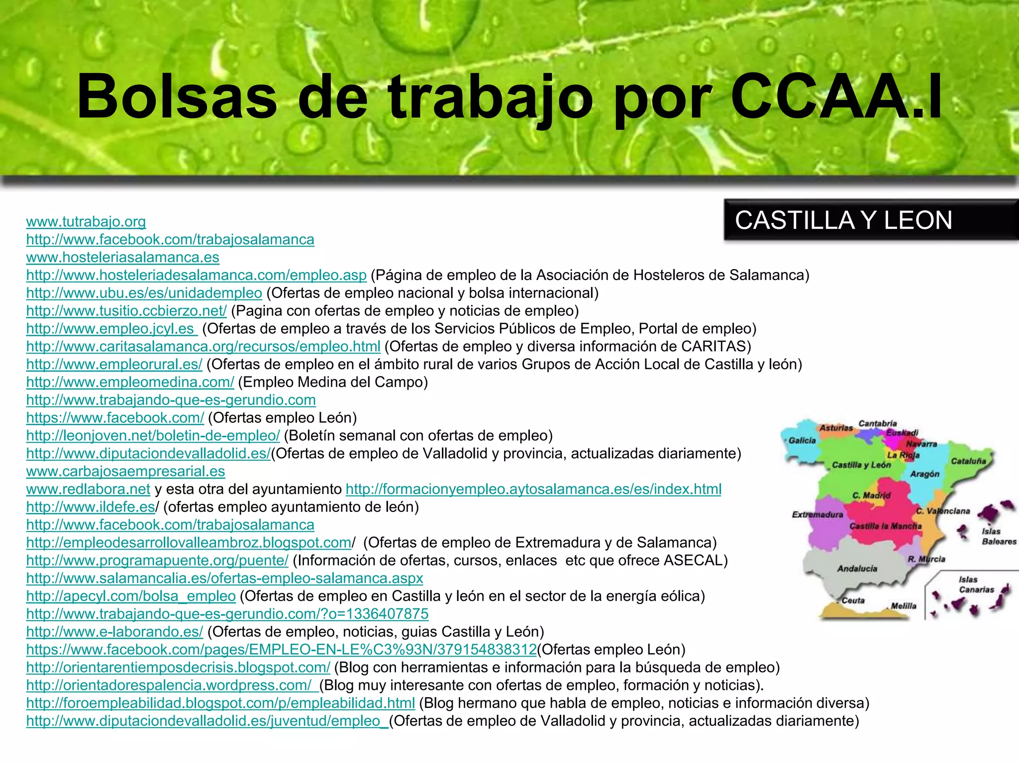 Bolsas de trabajo por CCAA.I 
CASTILLA Y LEON 
www.tutrabajo.org 
http://www.facebook.com/trabajosalamanca 
www.hosteleriasalamanca.es 
http://www.hosteleriadesalamanca.com/empleo.asp (Página de empleo de la Asociación de Hosteleros de Salamanca) 
http://www.ubu.es/es/unidadempleo (Ofertas de empleo nacional y bolsa internacional) 
http://www.tusitio.ccbierzo.net/ (Pagina con ofertas de empleo y noticias de empleo) 
http://www.empleo.jcyl.es (Ofertas de empleo a través de los Servicios Públicos de Empleo, Portal de empleo) 
http://www.caritasalamanca.org/recursos/empleo.html (Ofertas de empleo y diversa información de CARITAS) 
http://www.empleorural.es/ (Ofertas de empleo en el ámbito rural de varios Grupos de Acción Local de Castilla y león) 
http://www.empleomedina.com/ (Empleo Medina del Campo) 
http://www.trabajando-que-es-gerundio.com 
https://www.facebook.com/ (Ofertas empleo León) 
http://leonjoven.net/boletin-de-empleo/ (Boletín semanal con ofertas de empleo) 
http://www.diputaciondevalladolid.es/(Ofertas de empleo de Valladolid y provincia, actualizadas diariamente) 
www.carbajosaempresarial.es 
www.redlabora.net y esta otra del ayuntamiento http://formacionyempleo.aytosalamanca.es/es/index.html 
http://www.ildefe.es/ (ofertas empleo ayuntamiento de león) 
http://www.facebook.com/trabajosalamanca 
http://empleodesarrollovalleambroz.blogspot.com/ (Ofertas de empleo de Extremadura y de Salamanca) 
http://www.programapuente.org/puente/ (Información de ofertas, cursos, enlaces etc que ofrece ASECAL) 
http://www.salamancalia.es/ofertas-empleo-salamanca.aspx 
http://apecyl.com/bolsa_empleo (Ofertas de empleo en Castilla y león en el sector de la energía eólica) 
http://www.trabajando-que-es-gerundio.com/?o=1336407875 
http://www.e-laborando.es/ (Ofertas de empleo, noticias, guias Castilla y León) 
https://www.facebook.com/pages/EMPLEO-EN-LE%C3%93N/379154838312(Ofertas empleo León) 
http://orientarentiemposdecrisis.blogspot.com/ (Blog con herramientas e información para la búsqueda de empleo) 
http://orientadorespalencia.wordpress.com/ (Blog muy interesante con ofertas de empleo, formación y noticias). 
http://foroempleabilidad.blogspot.com/p/empleabilidad.html (Blog hermano que habla de empleo, noticias e información diversa) 
http://www.diputaciondevalladolid.es/juventud/empleo_(Ofertas de empleo de Valladolid y provincia, actualizadas diariamente) 
 