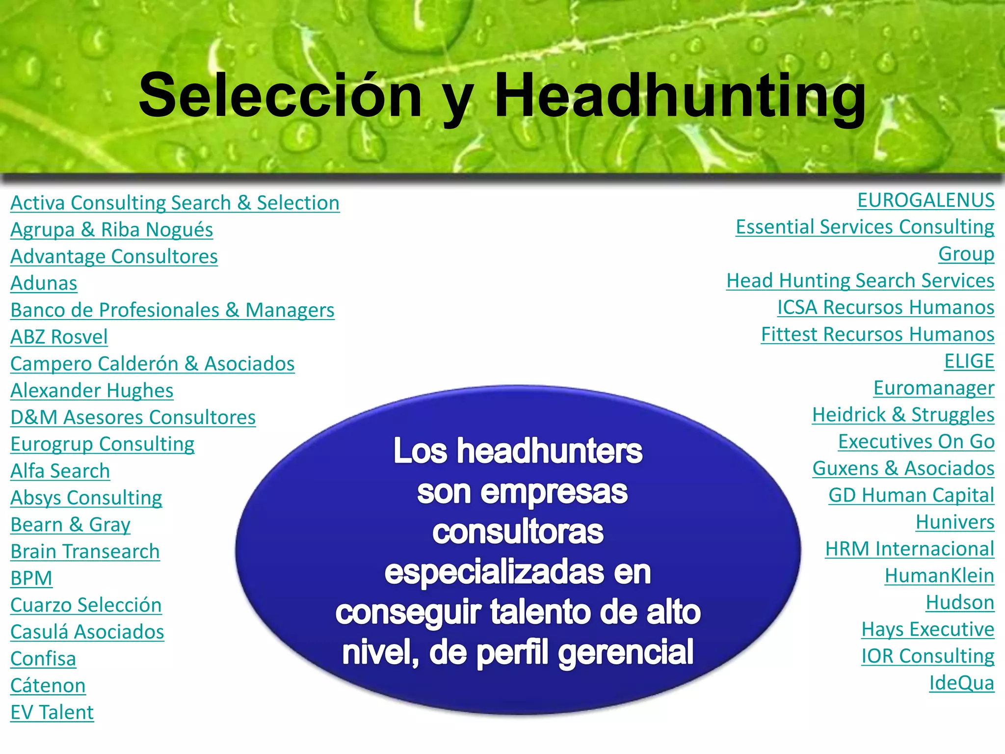 Selección y Headhunting 
Activa Consulting Search & Selection 
Agrupa & Riba Nogués 
Advantage Consultores 
Adunas 
Banco de Profesionales & Managers 
ABZ Rosvel 
Campero Calderón & Asociados 
Alexander Hughes 
D&M Asesores Consultores 
Eurogrup Consulting 
Alfa Search 
Absys Consulting 
Bearn & Gray 
Brain Transearch 
BPM 
Cuarzo Selección 
Casulá Asociados 
Confisa 
Cátenon 
EV Talent 
EUROGALENUS 
Essential Services Consulting 
Group 
Head Hunting Search Services 
ICSA Recursos Humanos 
Fittest Recursos Humanos 
ELIGE 
Euromanager 
Heidrick & Struggles 
Executives On Go 
Guxens & Asociados 
GD Human Capital 
Hunivers 
HRM Internacional 
HumanKlein 
Hudson 
Hays Executive 
IOR Consulting 
IdeQua 
 