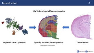 MoST-IG: Integrative Multimodal Framework for Spatial Transcriptomics ...