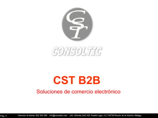 CST B2B Soluciones de comercio electrónico Pág.  1 