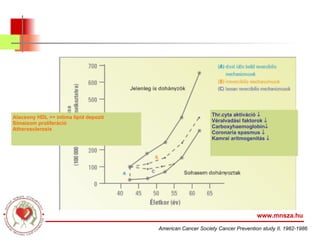 www.mnsza.hu American Cancer Society Cancer Prevention study II, 1982-1986 Thr.cyta aktiváció   Véralvadási faktorok     Carboxyhaemoglobin    Coronaria spasmus   Kamrai aritmogenitás     Alacsony HDL >> intima lipid depozit Simaizom proliferáció Atherosclerosis 