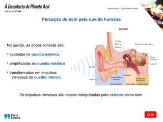 No ouvido, as ondas sonoras são:
• captadas no ouvido externo,
• amplificadas no ouvido médio e
• transformadas em impulsos
nervosos no ouvido interno.
Perceção do som pelo ouvido humano
Os impulsos nervosos são depois interpretados pelo cérebro como som.
M16
 