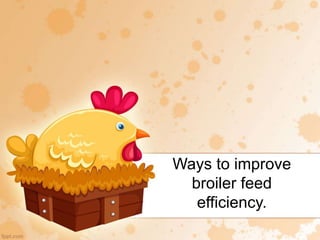 Ways to improve
broiler feed
efficiency.
 