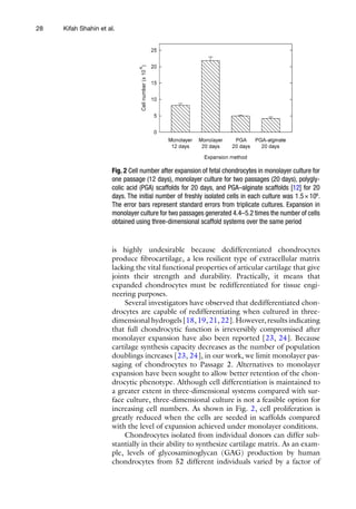28
is highly undesirable because dedifferentiated chondrocytes
­
produce fibrocartilage, a less resilient type of extracellular matrix
lacking the vital functional properties of articular cartilage that give
joints their strength and durability. Practically, it means that
expanded chondrocytes must be redifferentiated for tissue engi-
neering purposes.
Several investigators have observed that dedifferentiated chon-
drocytes are capable of redifferentiating when cultured in three-­
dimensional hydrogels [18, 19, 21, 22]. However, results indicating
that full chondrocytic function is irreversibly compromised after
monolayer expansion have also been reported [23, 24]. Because
cartilage synthesis capacity decreases as the number of population
doublings increases [23, 24], in our work, we limit monolayer pas-
saging of chondrocytes to Passage 2. Alternatives to monolayer
expansion have been sought to allow better retention of the chon-
drocytic phenotype. Although cell differentiation is maintained to
a greater extent in three-dimensional systems compared with sur-
face culture, three-dimensional culture is not a feasible option for
increasing cell numbers. As shown in Fig. 2, cell proliferation is
greatly reduced when the cells are seeded in scaffolds compared
with the level of expansion achieved under monolayer conditions.
Chondrocytes isolated from individual donors can differ sub-
stantially in their ability to synthesize cartilage matrix. As an exam-
ple, levels of glycosaminoglycan (GAG) production by human
chondrocytes from 52 different individuals varied by a factor of
Fig. 2 Cell number after expansion of fetal chondrocytes in monolayer culture for
one passage (12 days), monolayer culture for two passages (20 days), polygly-
colic acid (PGA) scaffolds for 20 days, and PGA–alginate scaffolds [12] for 20
days. The initial number of freshly isolated cells in each culture was 1.5×106
.
The error bars represent standard errors from triplicate cultures. Expansion in
monolayer culture for two passages generated 4.4–5.2 times the number of cells
obtained using three-dimensional scaffold systems over the same period
Kifah Shahin et al.
 