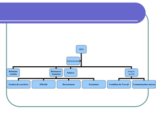 DRH
Relations
sociales
Ressources
humaines
Analyse
sociale
Administration
Gestion des carrières
Salaires
Effectifs Recrutement Formation Condition du Travail Communication interne
 