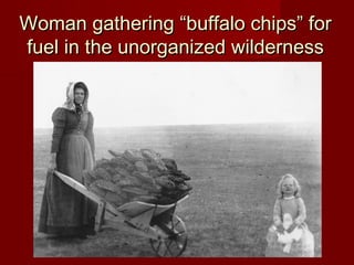 Woman gathering “buffalo chips” forWoman gathering “buffalo chips” for
fuel in the unorganized wildernessfuel in the unorganized wilderness
 