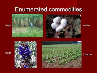 Enumerated commoditiesEnumerated commodities
sugarsugar cottoncotton
indigoindigo
tobaccotobacco
 