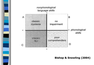 Bishop & Snowling (2004)Bishop & Snowling (2004)
 